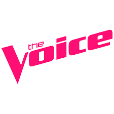 TheVoice4public's profile picture. the voice against illegal operation of private schools where children are not safe in Rajasthan State.