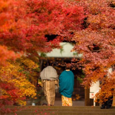 浪人が決まりました
京都大学工学部志望