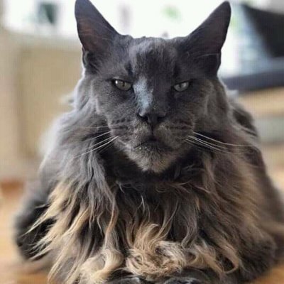 Tebogontebo6's profile picture. Because why not?