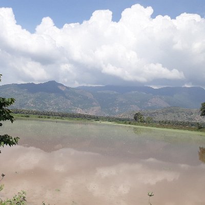 gokulkumar29081's profile picture. 😎