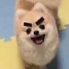 jimilovesbbes's profile picture. 