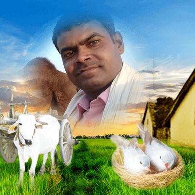 KumharShai Profile Picture