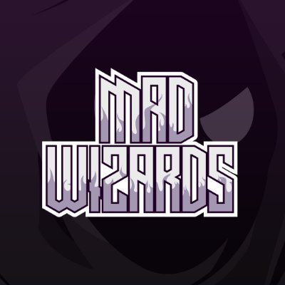 Mad Wizards Profile