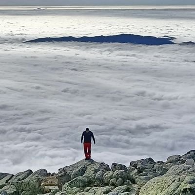 Alex8441068954's profile picture. 