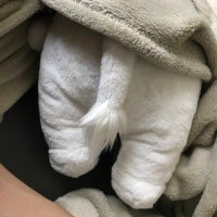 Taviras (@javvjung) 's Twitter Profile