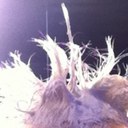 Manuel Maier - @icimanu - Twitter