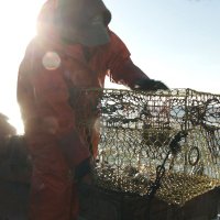 Seadrift Film (@seadriftfilm) 's Twitter Profile Photo