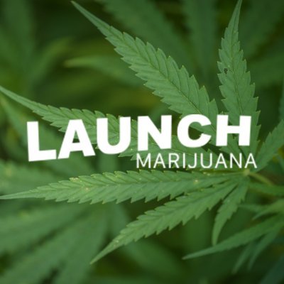 Launch Marijuana is advocating for marijuana legalization in 2020! Vote in November! #launchmarijuana2020