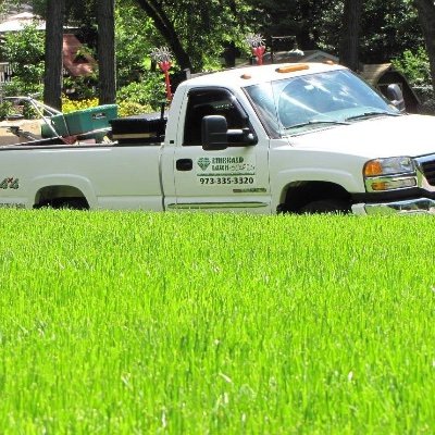 Emerald Lawn-Scapes is a family-owned lawn care business. We are certified by the state of NJ & experienced in all aspects of lawn/shrub care & pest control.