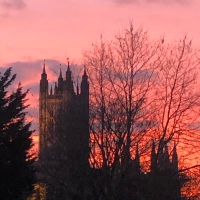 TwiceAsBold's profile picture. 