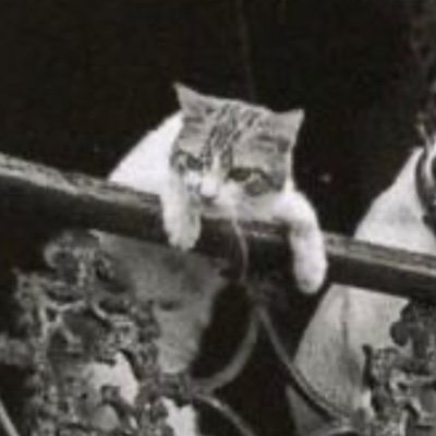 TomasHearty's profile picture. Multicultural leviathan, qualitative polyglot, sociology, other complex systems, #Potholer54, $TSLAQ since Q1 19