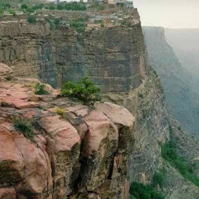 AAlqahtanl55's profile picture. 