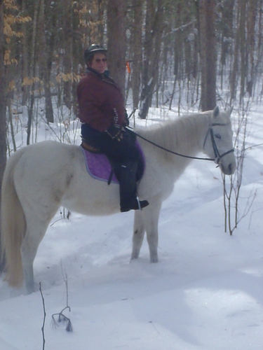 Rider, Coach, Writer, Editor, and last but not least, Mom.