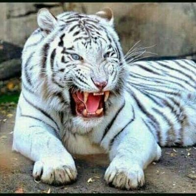 NurHilya9's profile picture. Biasa biasa aja