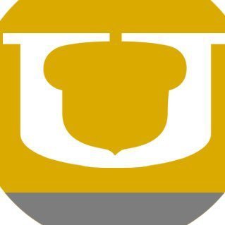 Lead Counselor Profile