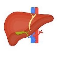 LiverUnit.Clinic.BCN (@liverunitclinic) 's Twitter Profile