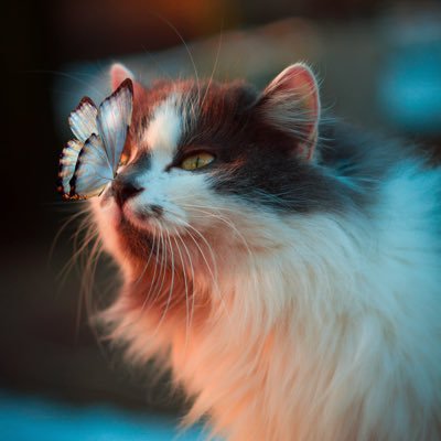 roleplay_memes's profile picture. This account is for me to post some random Roleplay Memes that I’ve made | Feel free to save the photos for your muses & DM me any meme ideas that you may have