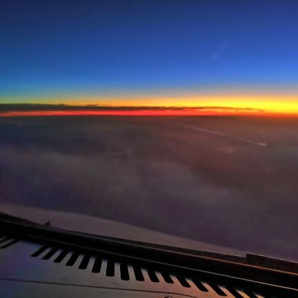 Davie_Whelan's profile picture. 