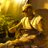 BERCARTELMCS's profile image