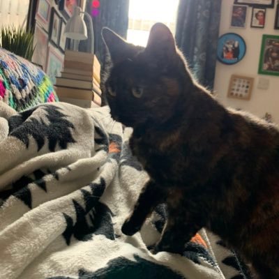 punk_academia's profile picture. 