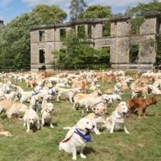 milly_bar's profile picture. Opinionated but always open to new ways of thinking