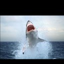 Geoff Parish - @goffparish - Twitter