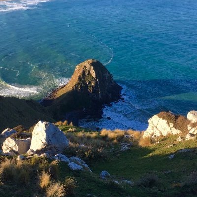 georgetaiaroa Profile Picture