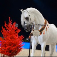 أ.فيصل سعود الحلاف (@faisal_s_alhlaf) 's Twitter Profile