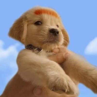 brianna02101896's profile picture. Henlo!. lvl: 259 ~ Royale high 🎀 ~ age: 13 ~ https://t.co/2VyVIjHuJU ~ add meh 🌚🌚