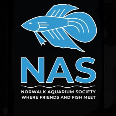 NAS is a Connecticut based organization focusing on all things aquatic! Meetings 7:30 - 10:30pm. 3rd Thursday of the month. Westport VFW 465 Riverside Ave.