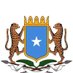 Somali Permanent Mission to the UN, Geneva🇸🇴 (@SomaliaUNGeneva) Twitter profile photo