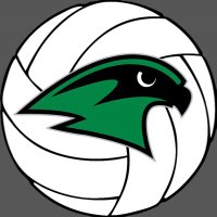 Staley Volleyball(@staleyfalconvb) 's Twitter Profile Photo