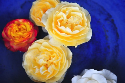 CREATIVE FUN FOR PEACE