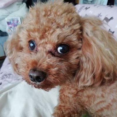 ちぇろの毎日さんのプロフィール画像