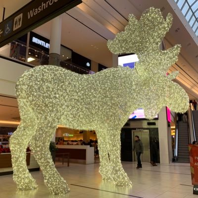 chanchankindie's profile picture. This account is not monitor 24/7.