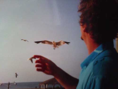 robert_harbin's profile picture. 