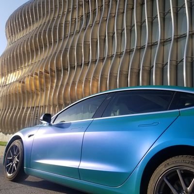 Alfr3dModel3's profile picture. Tesla Model 3 LRDM Alfr3d