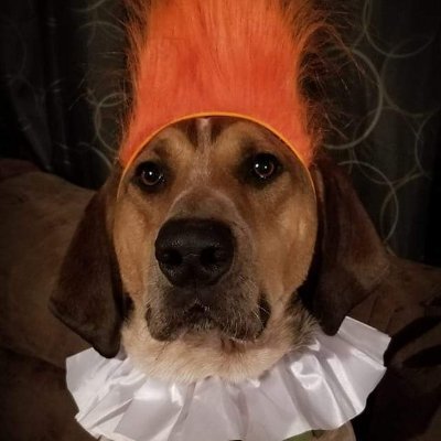 bbh74lehr's profile picture. 