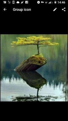 mm_zakes's profile picture. BABILONA KINGS KE MOTHEO