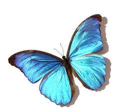 gferhan's profile picture. 