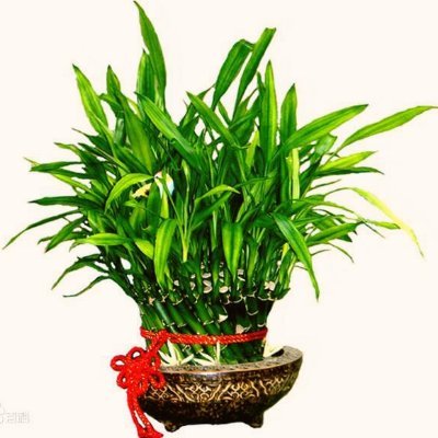 Her016010723's profile picture. Have fun with you guys~