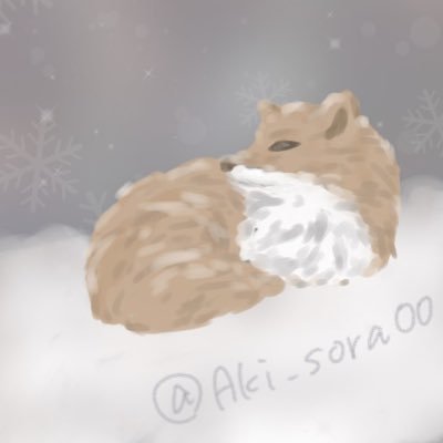 ぽるころっそさんのプロフィール画像
