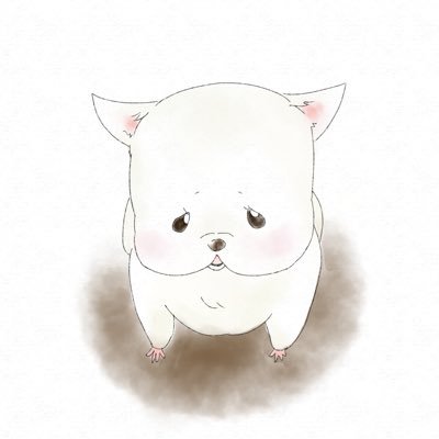 キイさんのプロフィール画像