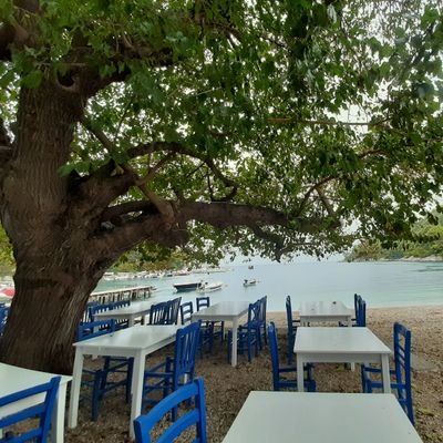 VPapach's profile picture. Forestry and Environmental Science at Aristotle University of Thessaloniki