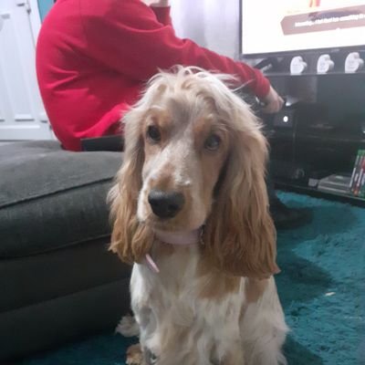 kayleighwest1's profile picture. prefer facebook