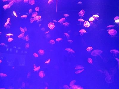 tnawat14's profile picture. เงียบ