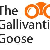 Gallivanting Goose (@tgallivantingg) 's Twitter Profile