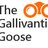 TGallivantingG's profile image