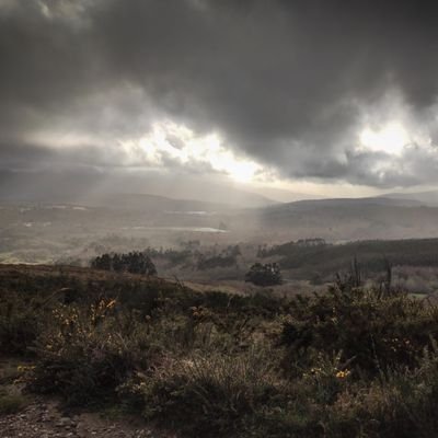 gregrevenga's profile picture. Me levanto cada día con la meta de poder hacer algo por mi país, no que mi país haga algo por mi. Es la diferencia entre el LIBERAL y el COMUNISTA.