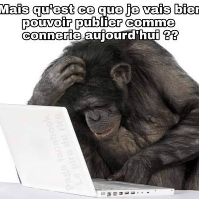 @humanismedeve1